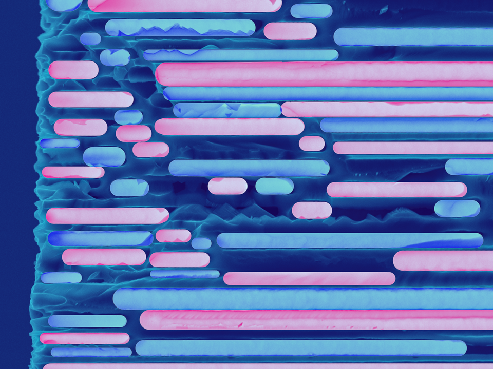Silicon micrograph